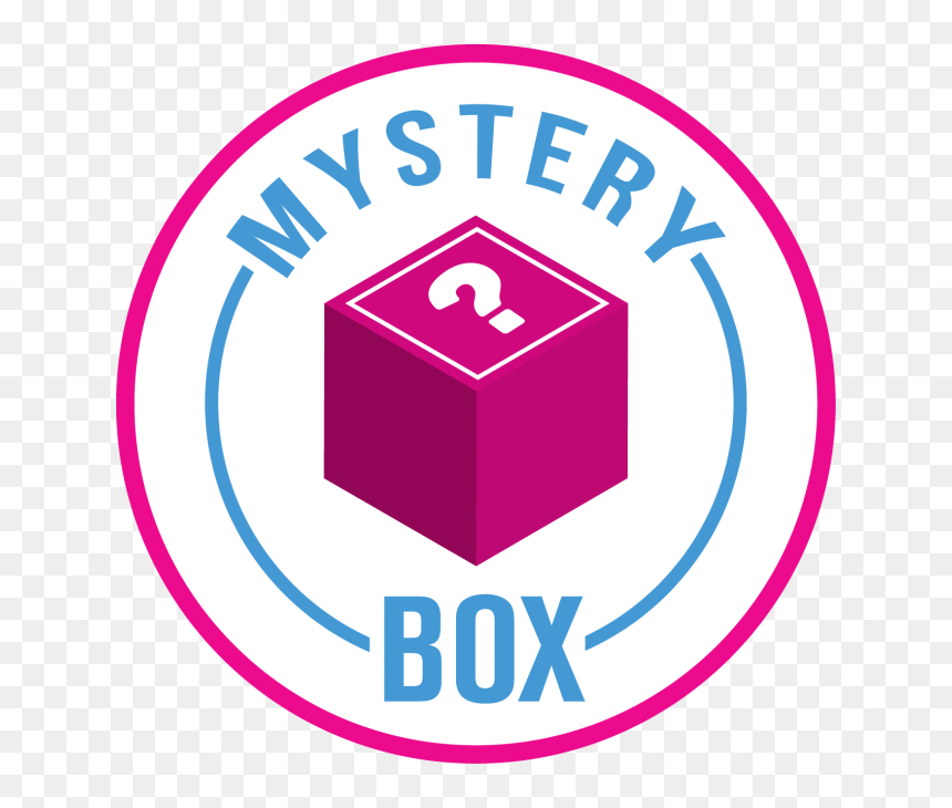 Christmas Themed Mystery Box